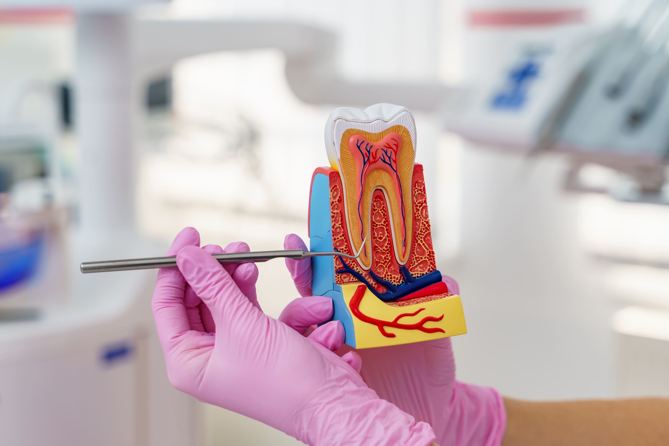 Nord Dental Clinic İzmir Kanal Tedavisi